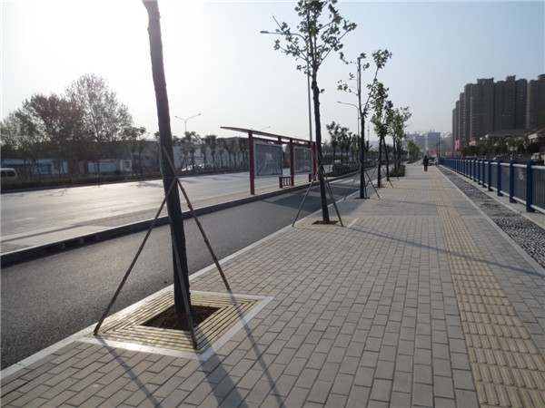 �ֳȹ��ʡ�lc8(�й���)�ٷ���վ